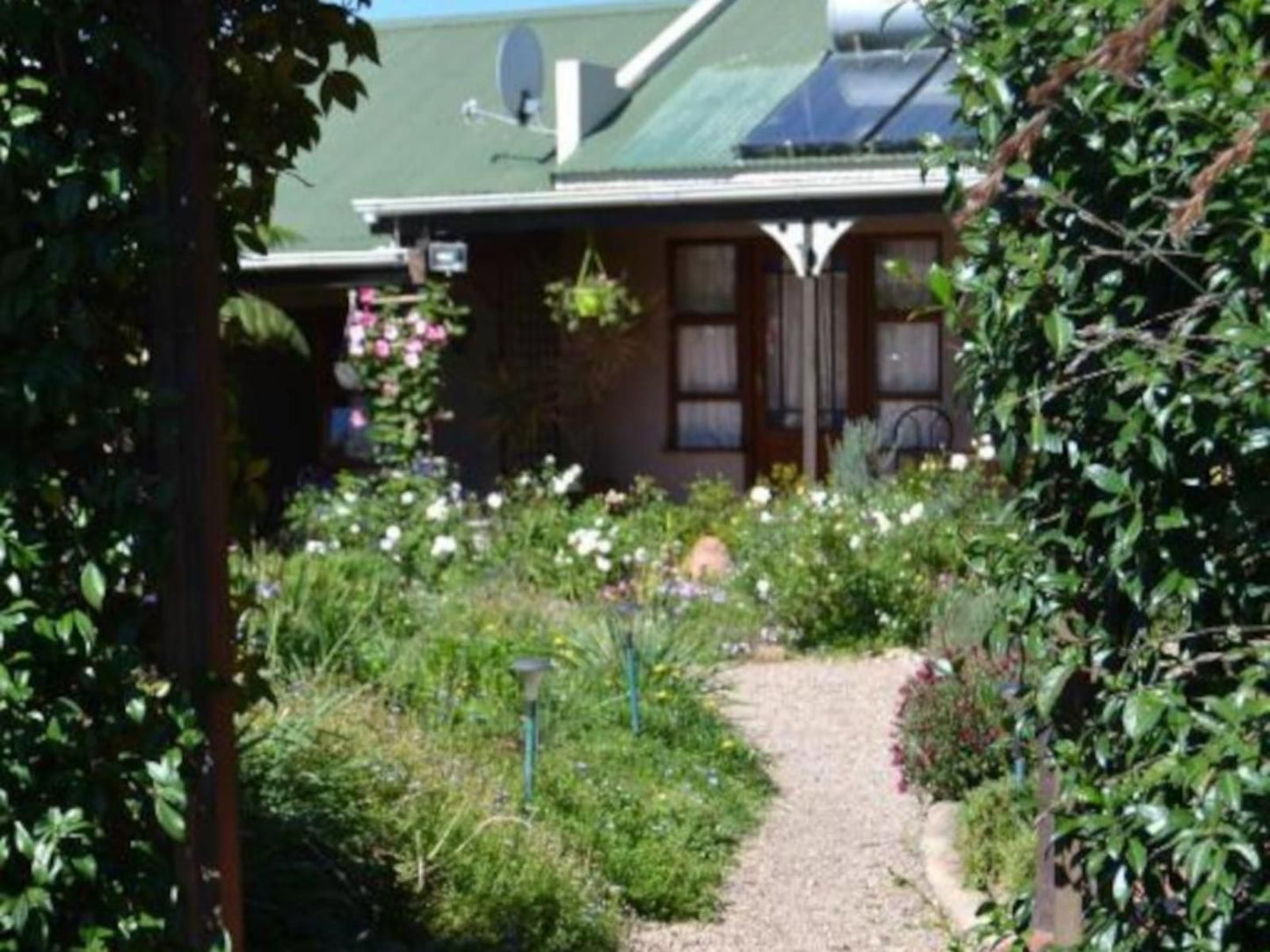 African Sun Guest House Blanco George Western Cape South Africa Building, Architecture, Cabin, House, Garden, Nature, Plant