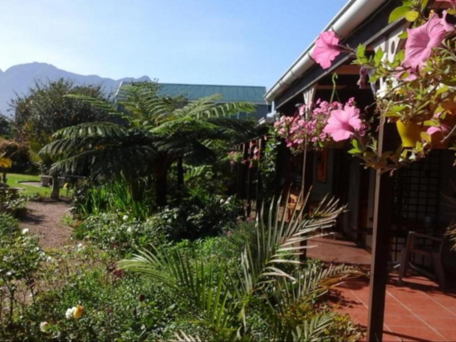 African Sun Guest House Blanco George Western Cape South Africa House, Building, Architecture, Palm Tree, Plant, Nature, Wood, Garden