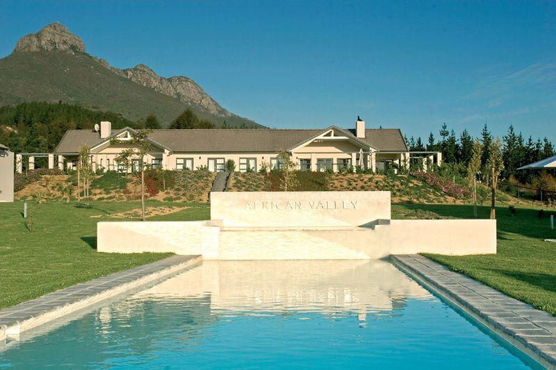 African Valley Estate Stellenbosch Western Cape South Africa Complementary Colors