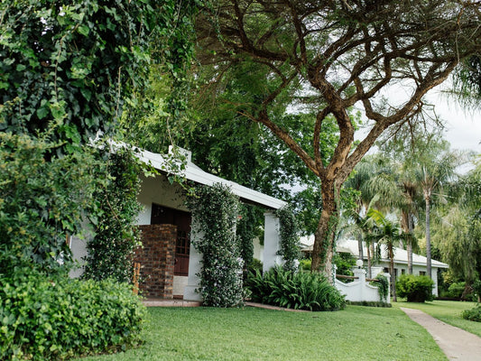 African Vineyard Guest House And Wellness Spa Kanoneiland Keimoes Northern Cape South Africa House, Building, Architecture, Palm Tree, Plant, Nature, Wood