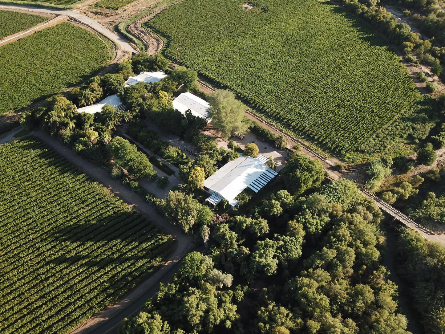 African Vineyard Guest House And Wellness Spa Kanoneiland Keimoes Northern Cape South Africa Field, Nature, Agriculture, Aerial Photography