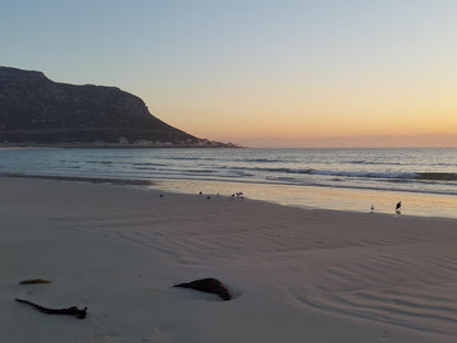 African Violet Guest Suites Capri Village Cape Town Western Cape South Africa Beach, Nature, Sand