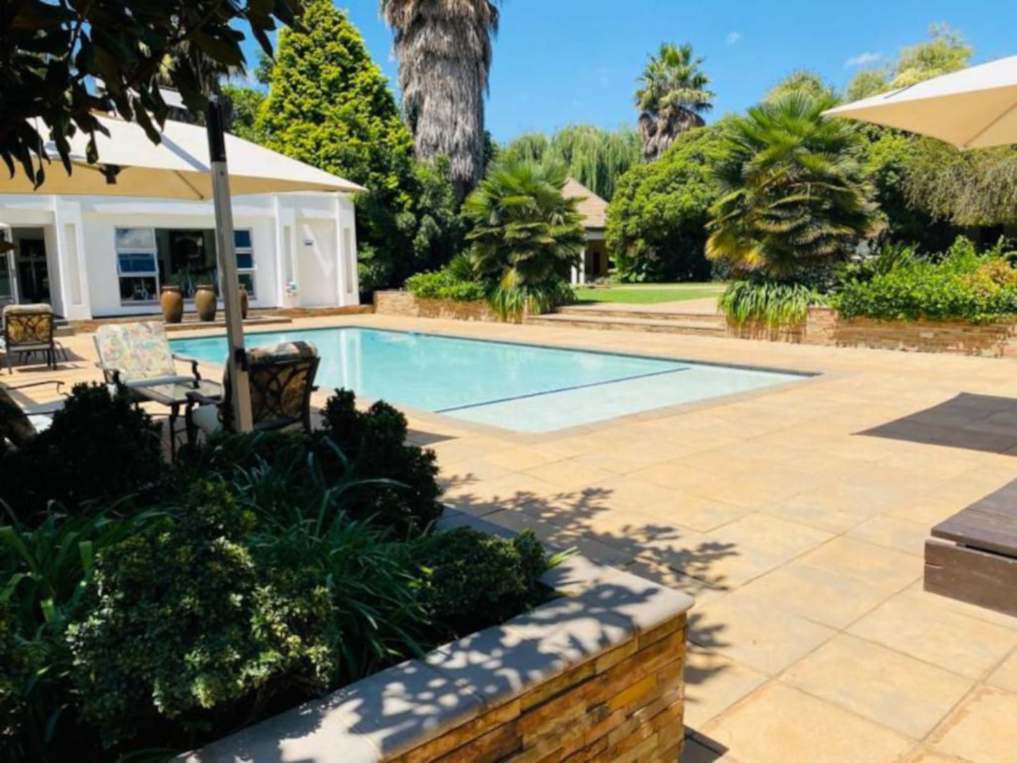 Africasky Guest House Kempton Park Johannesburg Gauteng South Africa Palm Tree, Plant, Nature, Wood, Garden, Swimming Pool