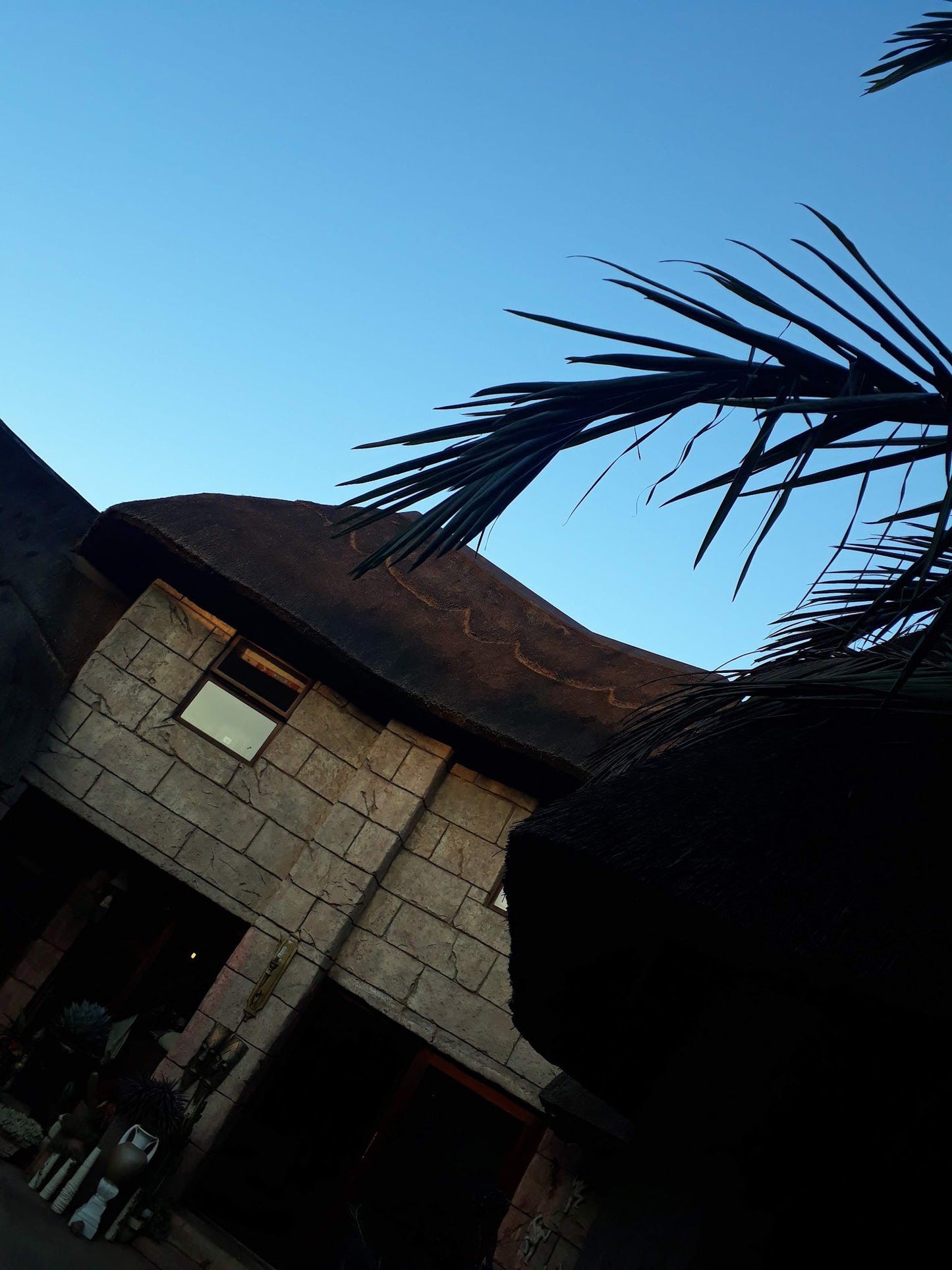 Afrika Lodge Kempton Park Johannesburg Gauteng South Africa Palm Tree, Plant, Nature, Wood