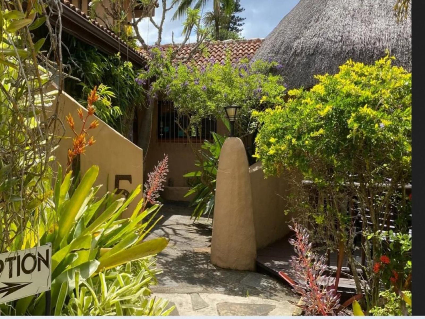 Afrikhaya Guest House St Lucia Kwazulu Natal South Africa Palm Tree, Plant, Nature, Wood, Garden