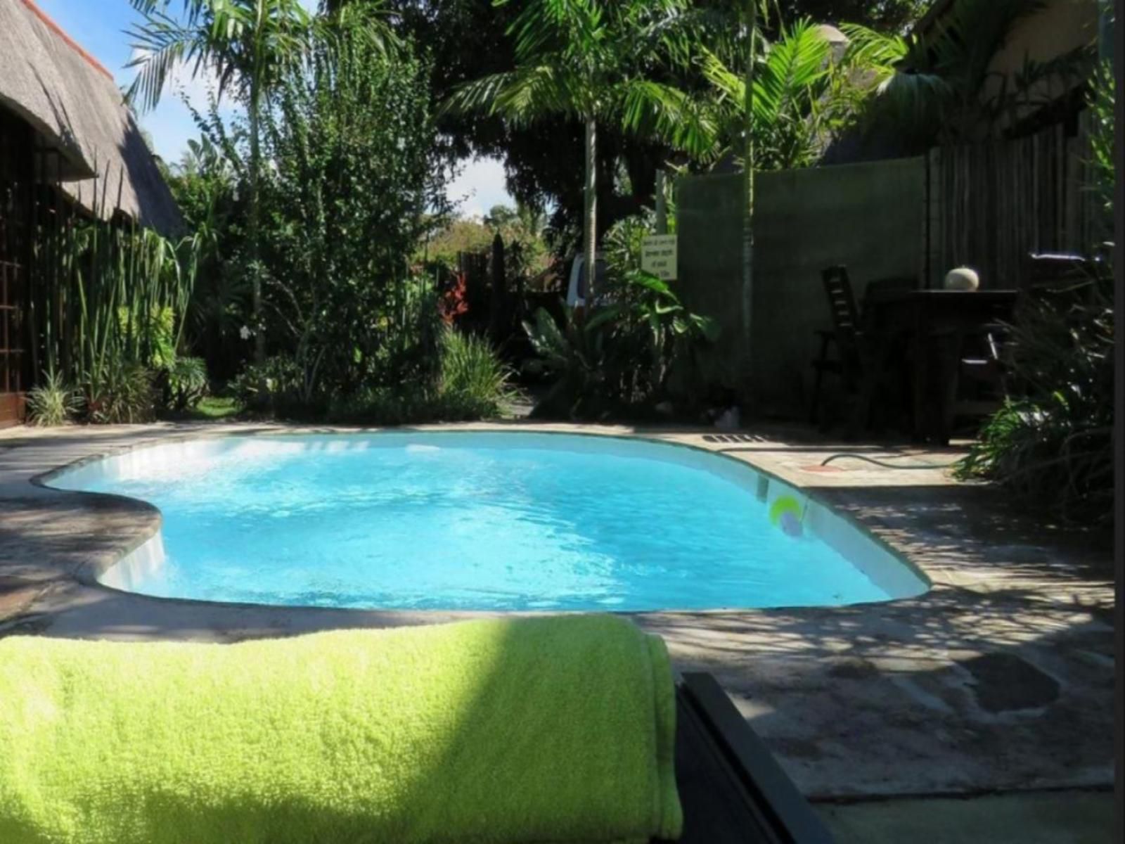 Afrikhaya Guest House St Lucia Kwazulu Natal South Africa Palm Tree, Plant, Nature, Wood, Garden, Swimming Pool