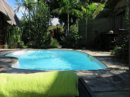 Afrikhaya Guest House St Lucia Kwazulu Natal South Africa Palm Tree, Plant, Nature, Wood, Garden, Swimming Pool