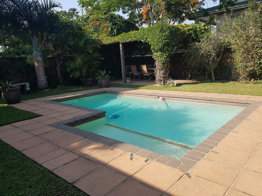Afri Lala Bed And Breakfast Mount Edgecombe Durban Kwazulu Natal South Africa Palm Tree, Plant, Nature, Wood, Swimming Pool