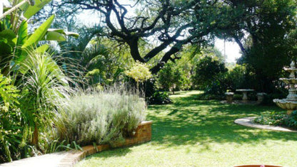 Afrique Du Sud Guest House Mookgopong Naboomspruit Limpopo Province South Africa Plant, Nature, Garden
