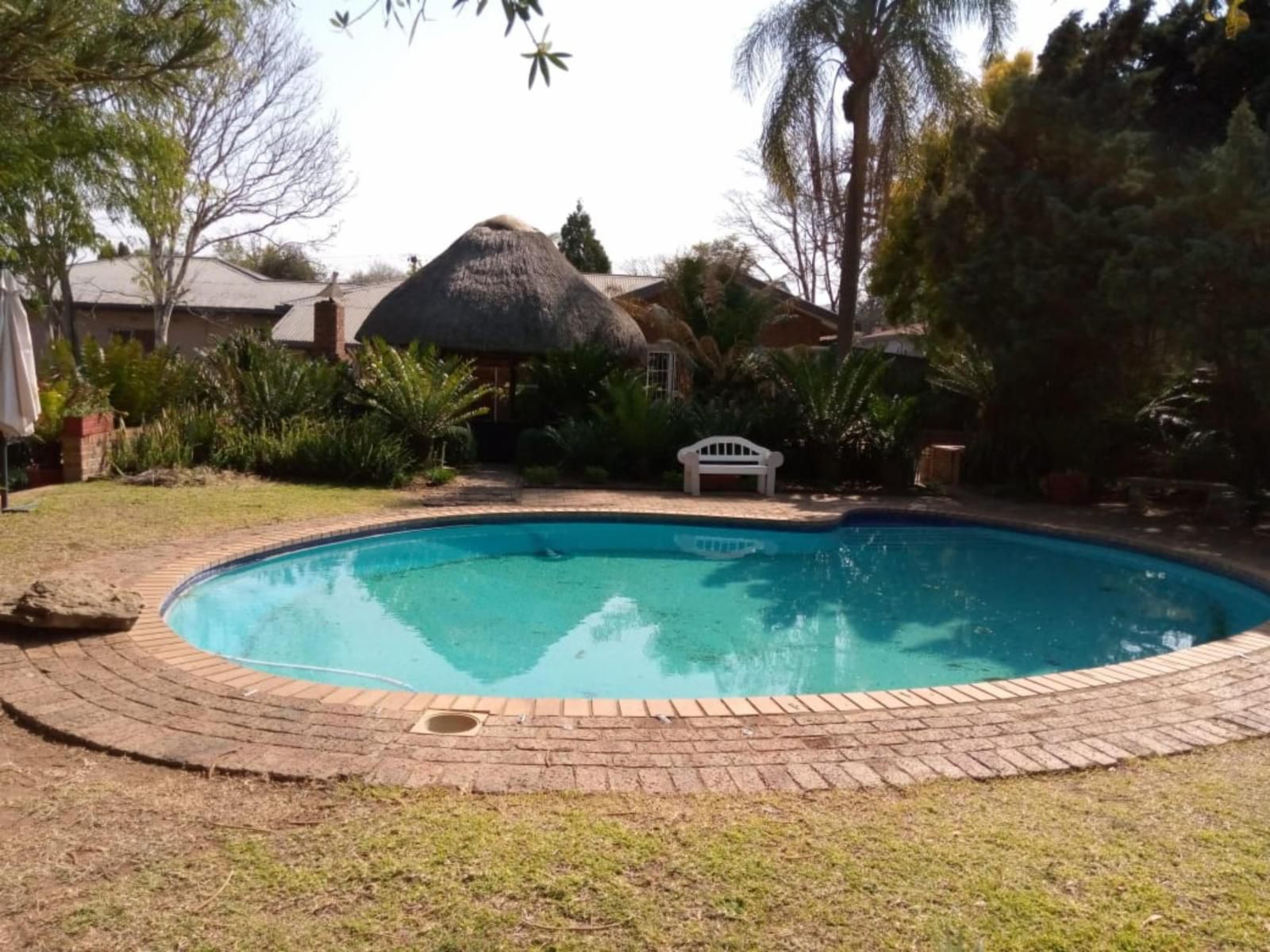 Agt Guesthouse Vryheid Kwazulu Natal South Africa Palm Tree, Plant, Nature, Wood, Garden, Swimming Pool