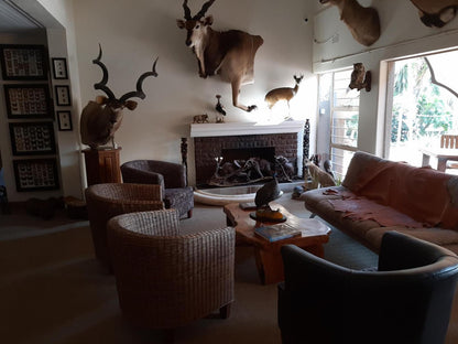 Afton Safari Lodge Aston Manor Johannesburg Gauteng South Africa Living Room