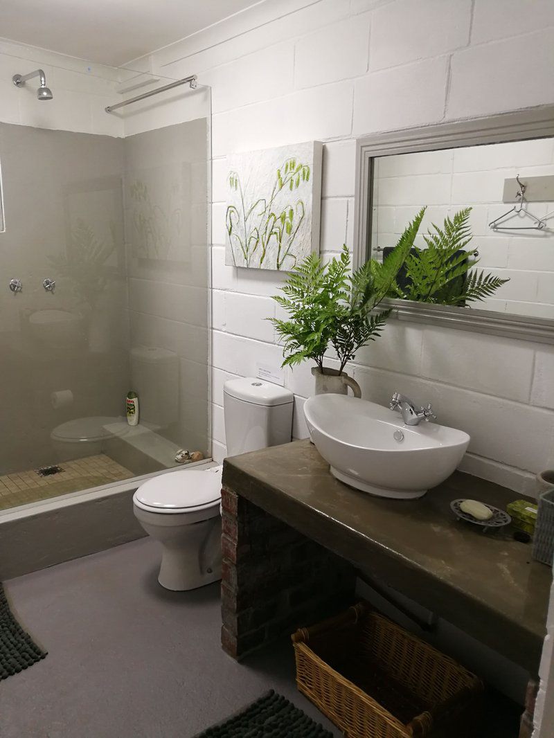 Agapanthus Cottage Grabouw Western Cape South Africa Bathroom