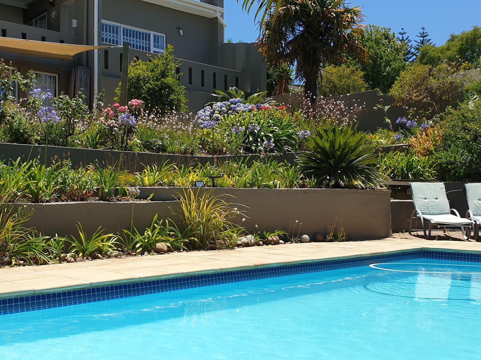 Agape Apartments Helderberg Estate Somerset West Western Cape South Africa Complementary Colors, Garden, Nature, Plant, Swimming Pool