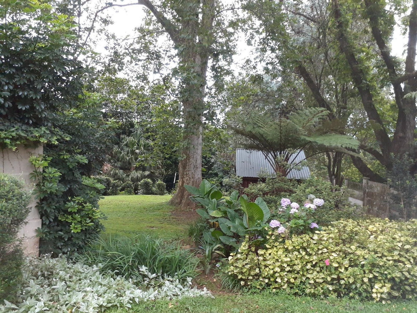 A Garden Suite Athlone Pietermaritzburg Pietermaritzburg Kwazulu Natal South Africa Plant, Nature, Tree, Wood, Garden