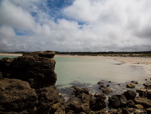 Agulhas Rest Camp Agulhas National Park Sanparks Agulhas National Park Western Cape South Africa Beach, Nature, Sand, Ocean, Waters