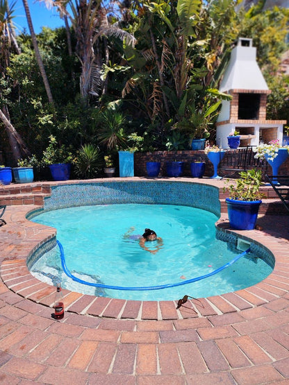 A Heavenly View Muizenberg Cape Town Western Cape South Africa Complementary Colors, Garden, Nature, Plant, Swimming Pool