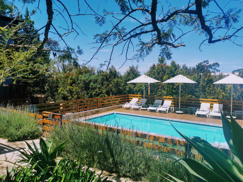 A Hilltop Country Retreat Swellendam Western Cape South Africa Complementary Colors, Garden, Nature, Plant, Swimming Pool