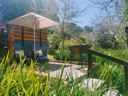 A Hilltop Country Retreat Swellendam Western Cape South Africa Garden, Nature, Plant