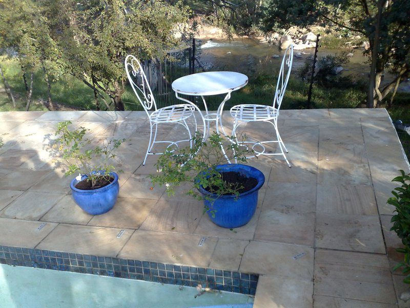 Airdlin House Sunninghill Johannesburg Gauteng South Africa Garden, Nature, Plant, Swimming Pool
