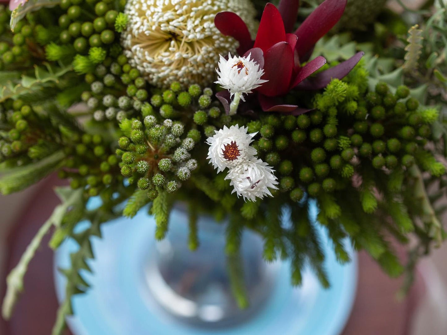 Aire Del Mar Guesthouse Kleinbaai Western Cape South Africa Bouquet Of Flowers, Flower, Plant, Nature