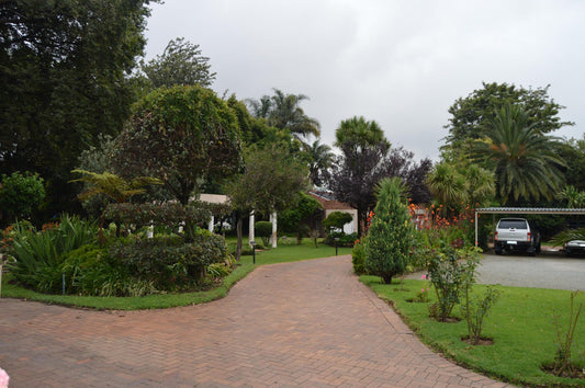 Airport Garden Boutique Hotel Boksburg Johannesburg Gauteng South Africa House, Building, Architecture, Palm Tree, Plant, Nature, Wood