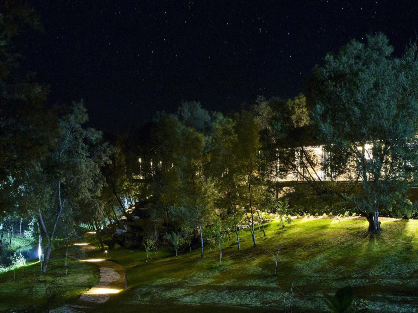 Akabeko Boutique Hotel Dullstroom Mpumalanga South Africa Garden, Nature, Plant, Night Sky