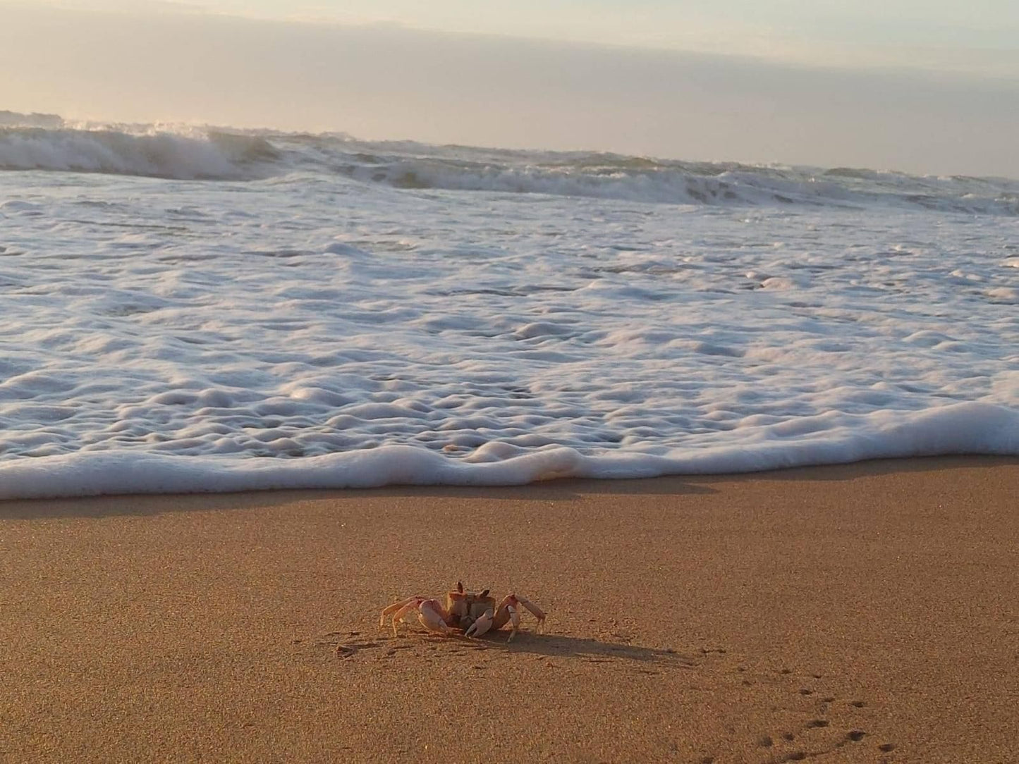 Akidogo Guest House Amanzimtoti Kwazulu Natal South Africa Beach, Nature, Sand, Ocean, Waters