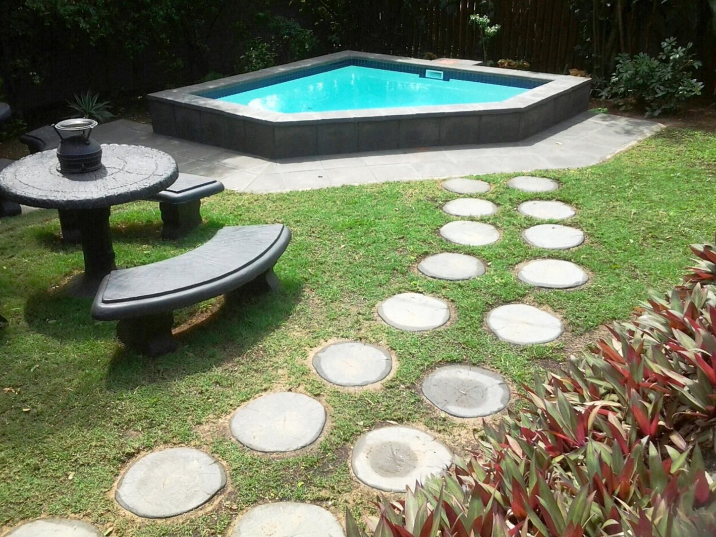 Akidogo Guest House Amanzimtoti Kwazulu Natal South Africa Garden, Nature, Plant, Swimming Pool