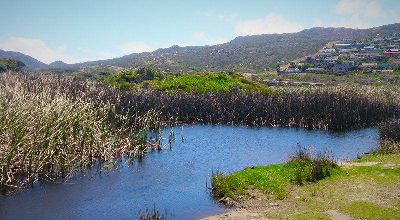 Complementary Colors, River, Nature, Waters, Highland, Akkedis House, Glencairn, Cape Town