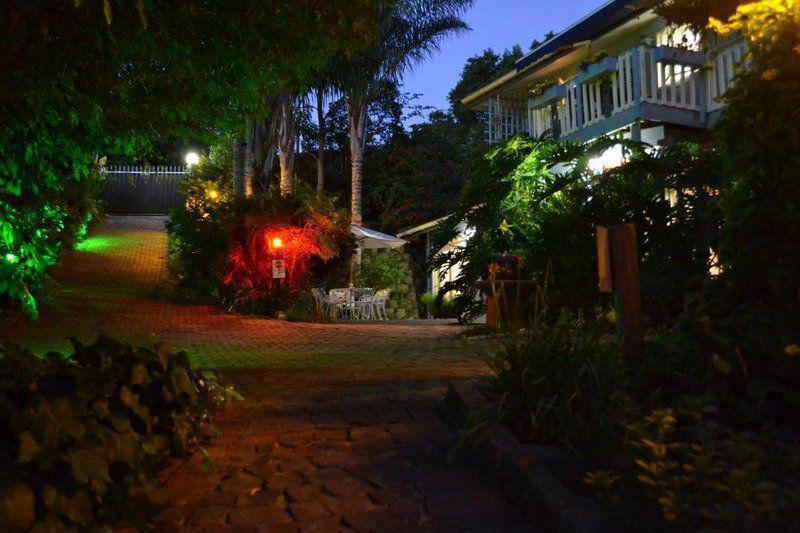 House, Building, Architecture, Palm Tree, Plant, Nature, Wood, Garden, Knysna Herons Guest House, Old Place, Knysna