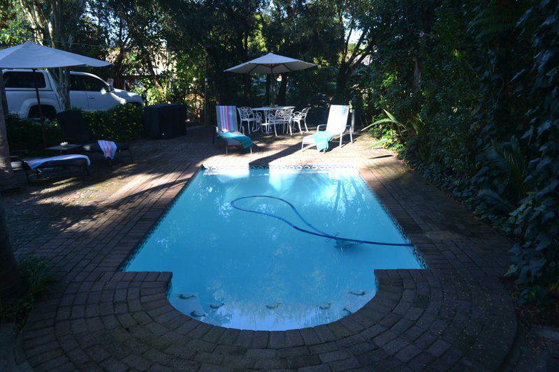 Swimming, Water Sport, Sport, Person, Swimming Pool, Knysna Herons Guest House, Old Place, Knysna