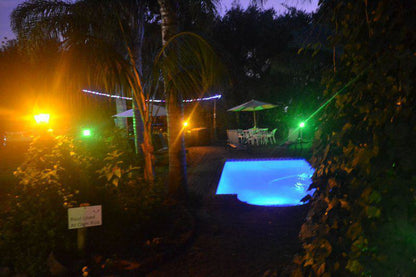 Palm Tree, Plant, Nature, Wood, Swimming Pool, Knysna Herons Guest House, Old Place, Knysna