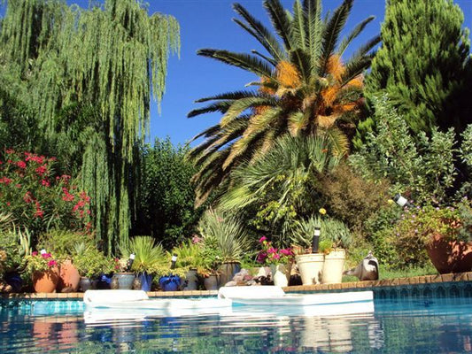A La Fugue Guest House Upington Northern Cape South Africa Palm Tree, Plant, Nature, Wood, Garden, Swimming Pool