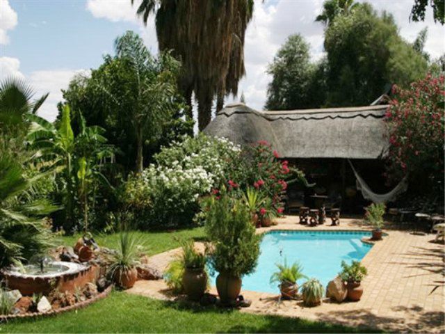 A La Fugue Guest House Upington Northern Cape South Africa Palm Tree, Plant, Nature, Wood, Garden, Swimming Pool