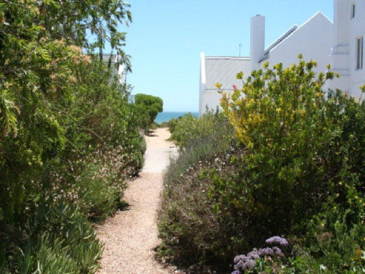 Alamapstieks Paternoster Western Cape South Africa Complementary Colors, Beach, Nature, Sand, Plant