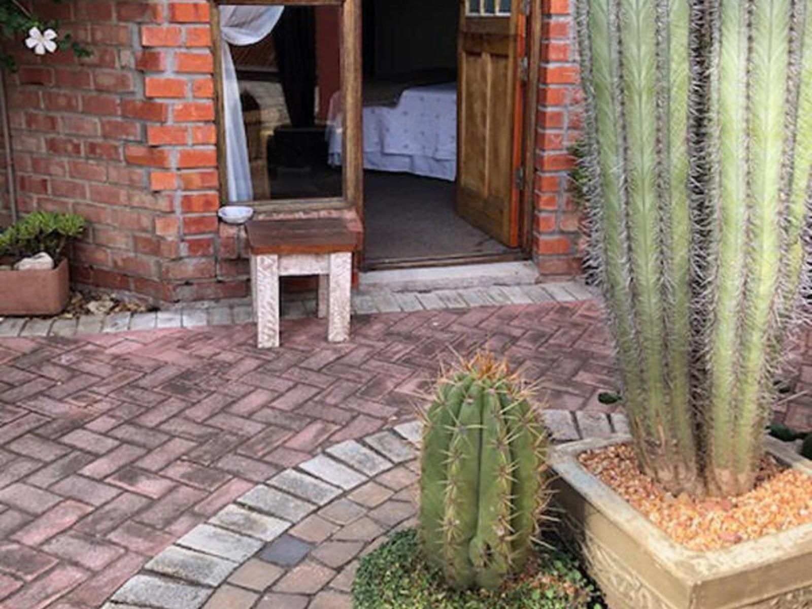 A La Martha S Airport Guest House Walmer Port Elizabeth Eastern Cape South Africa Cactus, Plant, Nature, Garden