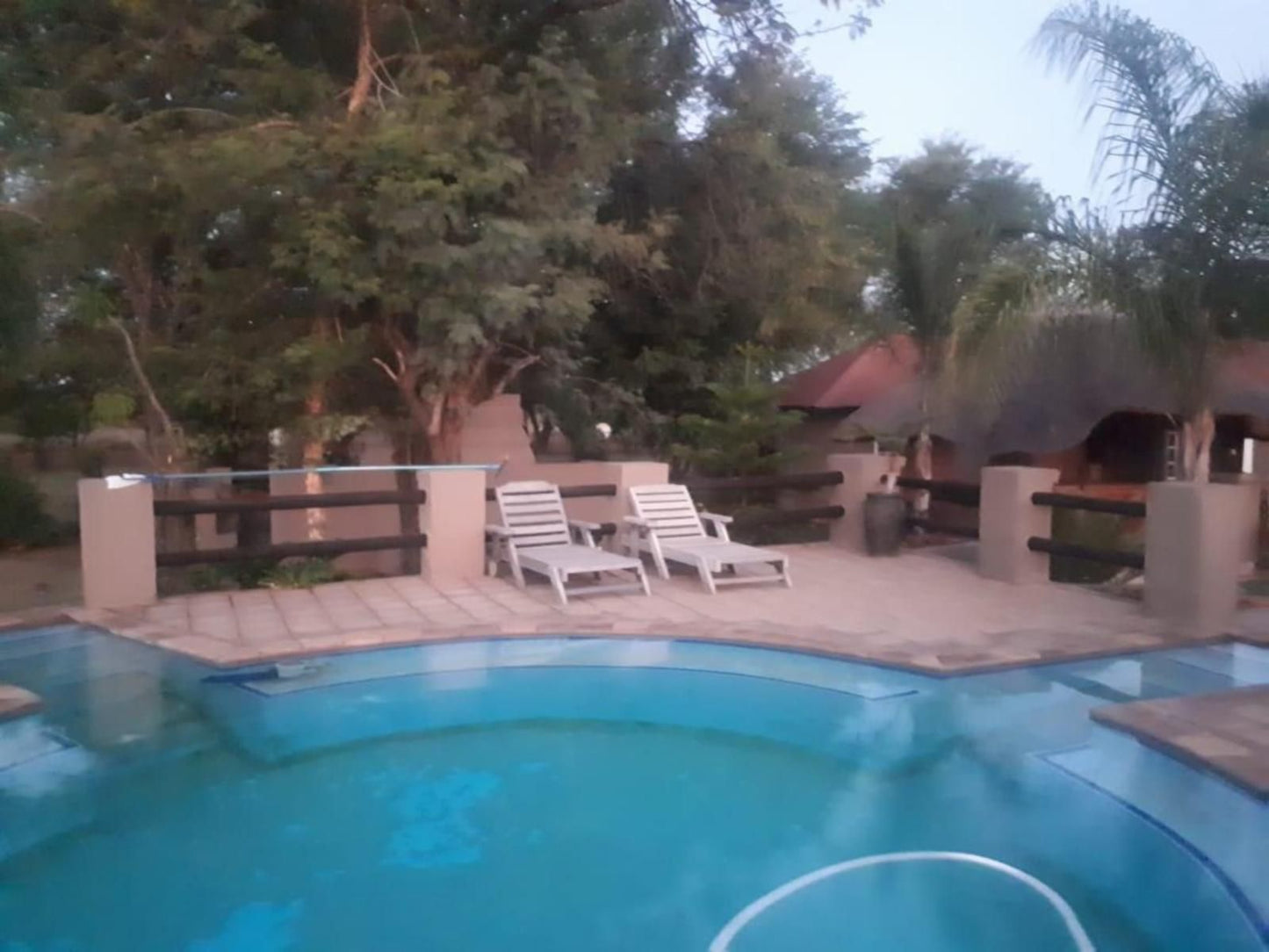 Alamo House Guest Farm Bela Bela Warmbaths Limpopo Province South Africa Palm Tree, Plant, Nature, Wood, Swimming Pool