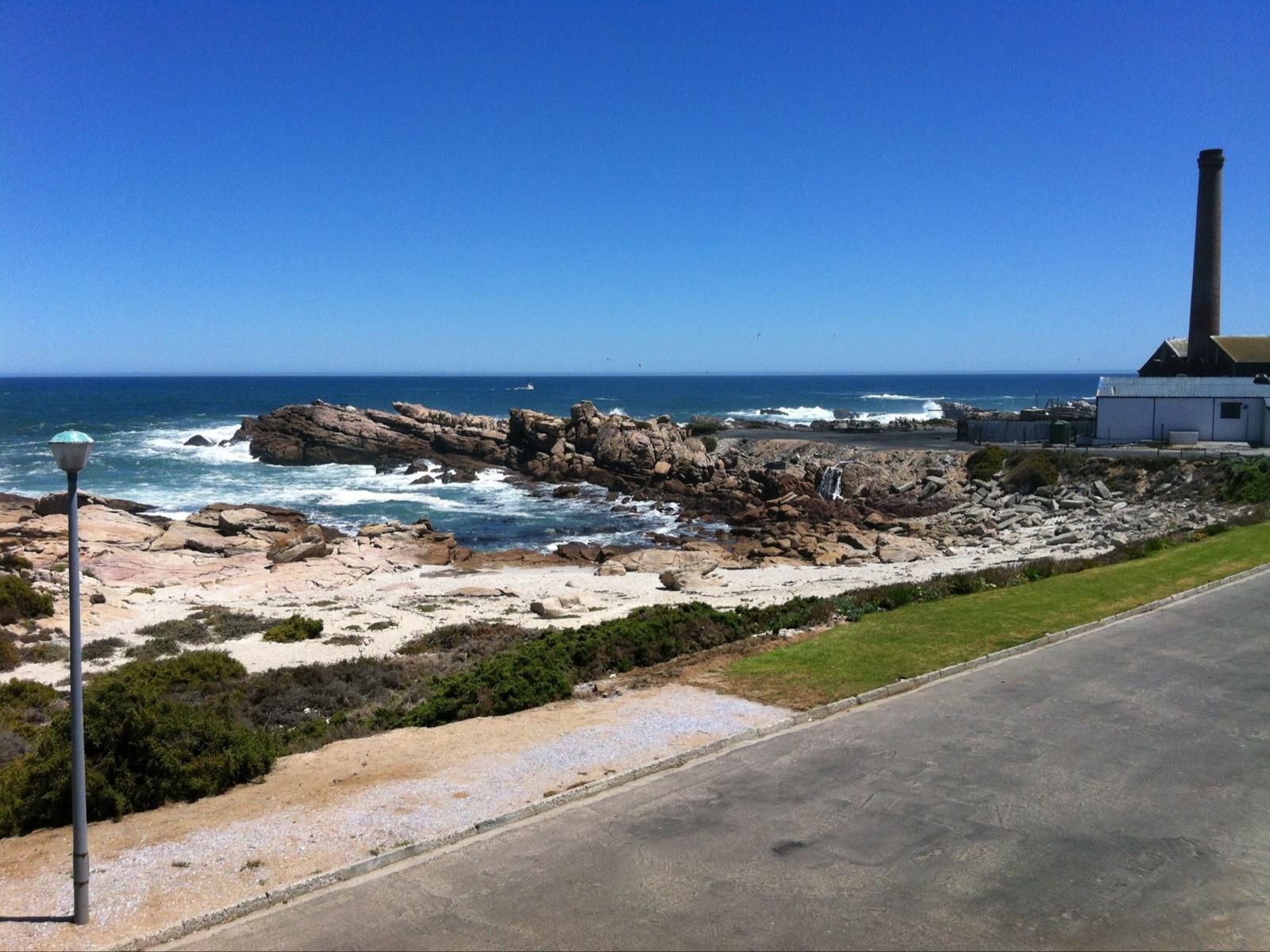 Albatros Lamberts Bay Western Cape South Africa Beach, Nature, Sand, Cliff, Framing, Ocean, Waters