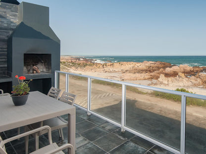 Albatros Lamberts Bay Western Cape South Africa Complementary Colors, Beach, Nature, Sand