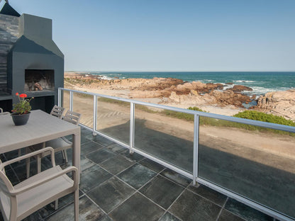 Albatros Lamberts Bay Western Cape South Africa Beach, Nature, Sand