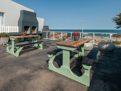 Albatros Lamberts Bay Western Cape South Africa Beach, Nature, Sand, Ocean, Waters