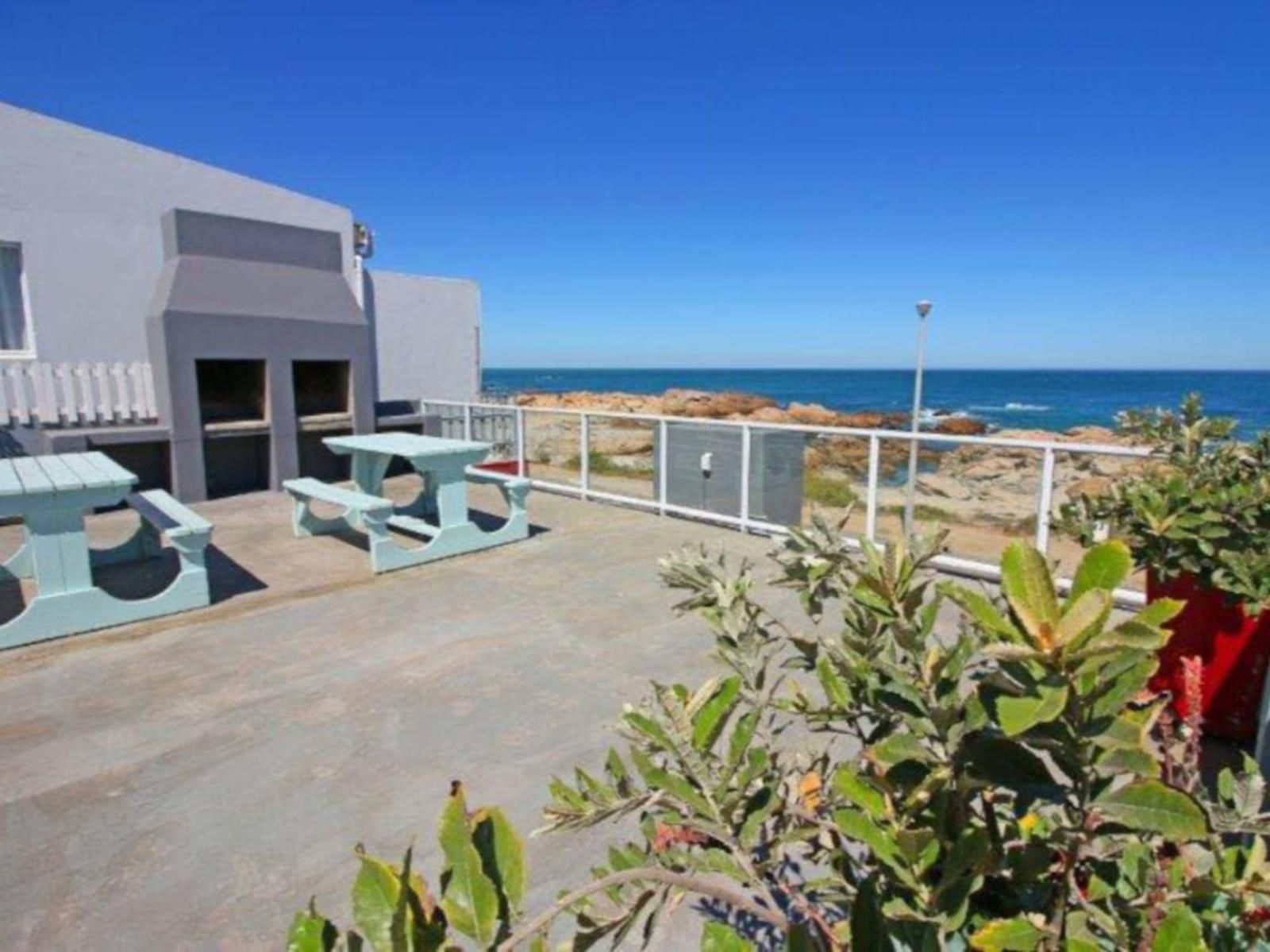 Albatros Lamberts Bay Western Cape South Africa Complementary Colors, Beach, Nature, Sand