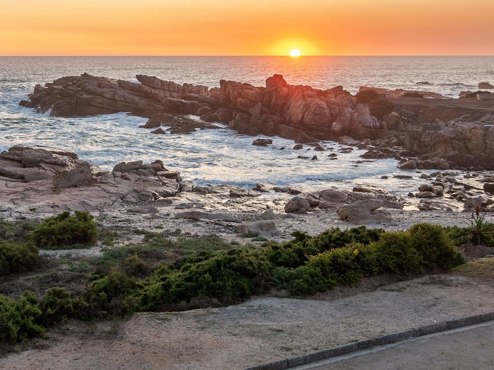 Albatros Lamberts Bay Western Cape South Africa Beach, Nature, Sand, Ocean, Waters, Sunset, Sky