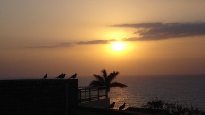 Albatros Guest House Lawrence Rocks Margate Kwazulu Natal South Africa Beach, Nature, Sand, Palm Tree, Plant, Wood, Silhouette, Sky, Sunset