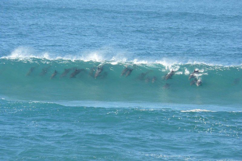 Albatros Guest House Lawrence Rocks Margate Kwazulu Natal South Africa Beach, Nature, Sand, Wave, Waters, Ocean