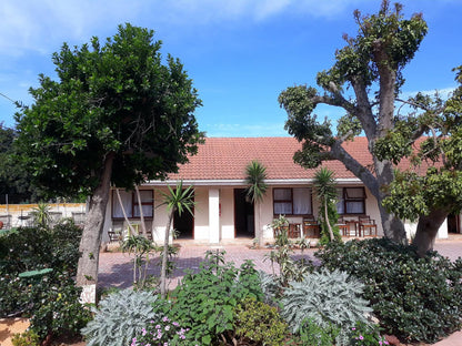 Albert Road Garden Guesthouse, House, Building, Architecture, Palm Tree, Plant, Nature, Wood