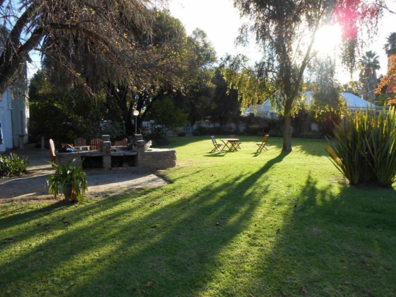 Albert House Bed And Breakfast Cradock Eastern Cape South Africa Palm Tree, Plant, Nature, Wood, Garden