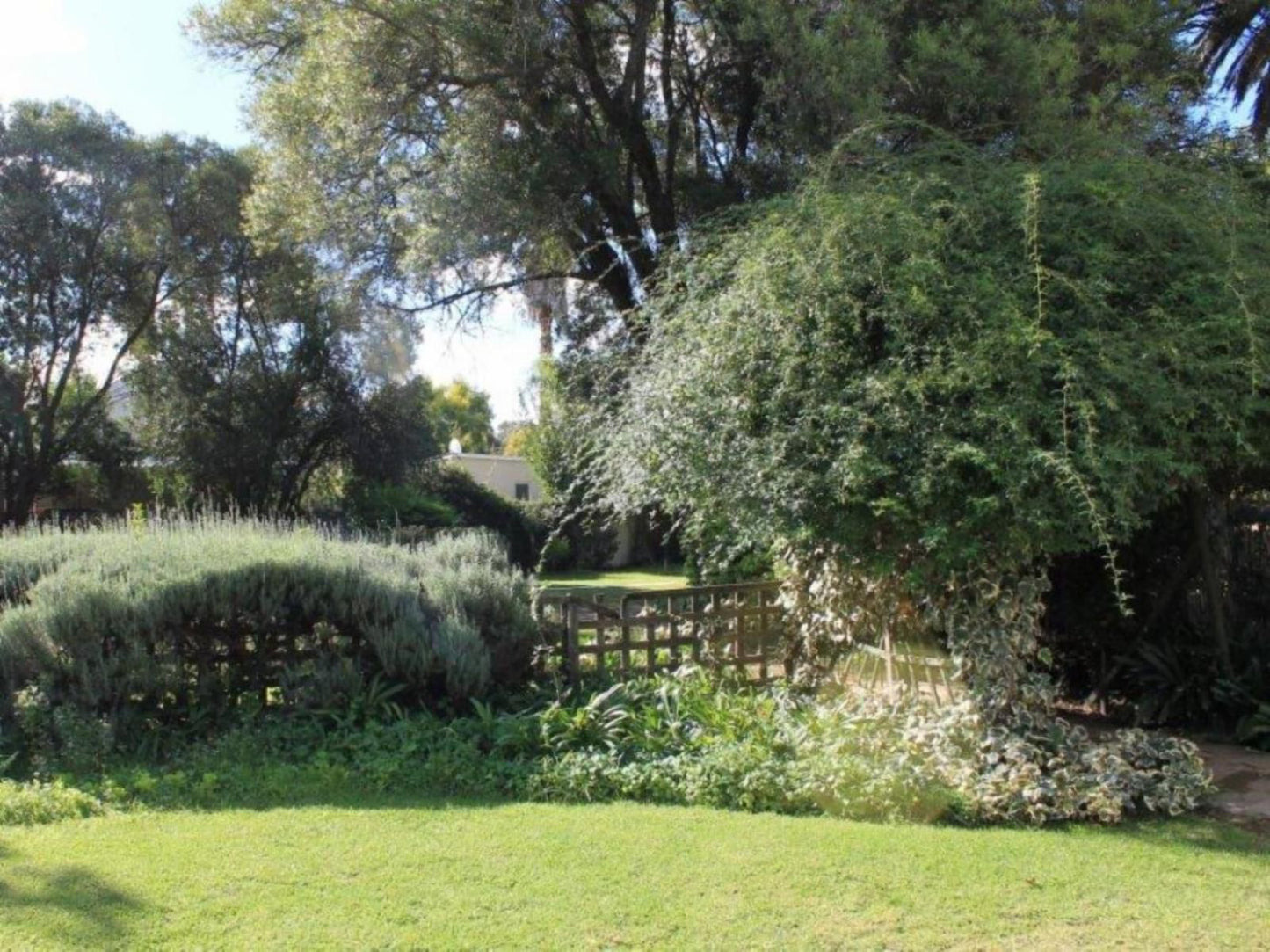 Albert House Bed And Breakfast Cradock Eastern Cape South Africa Plant, Nature, Garden