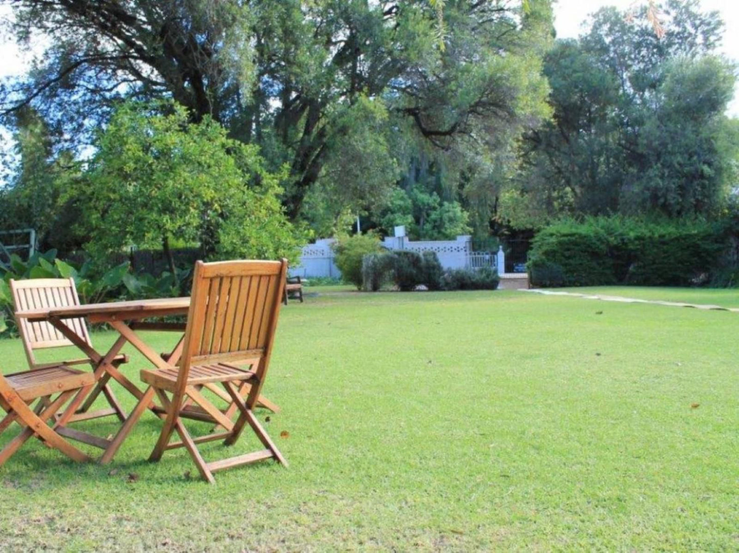 Albert House Bed And Breakfast Cradock Eastern Cape South Africa Garden, Nature, Plant