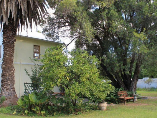 Albert House Bed And Breakfast Cradock Eastern Cape South Africa House, Building, Architecture, Plant, Nature